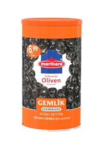 Çekirdeksiz Gemlik Zeytin