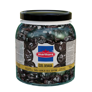 Özel Devasa Gemlik Olives (Sele Type)